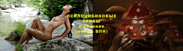 ALPHA PVP Алексин
