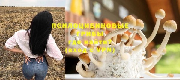 ALPHA PVP Алексин
