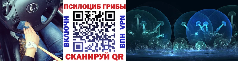 купить наркотики цена  Ясный  Псилоцибиновые грибы ЛСД 
